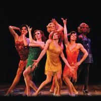 LA CAGE AUX FOLLES With Allam, Quast Runs At Menier Chocolate Factory